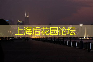 温存的记忆